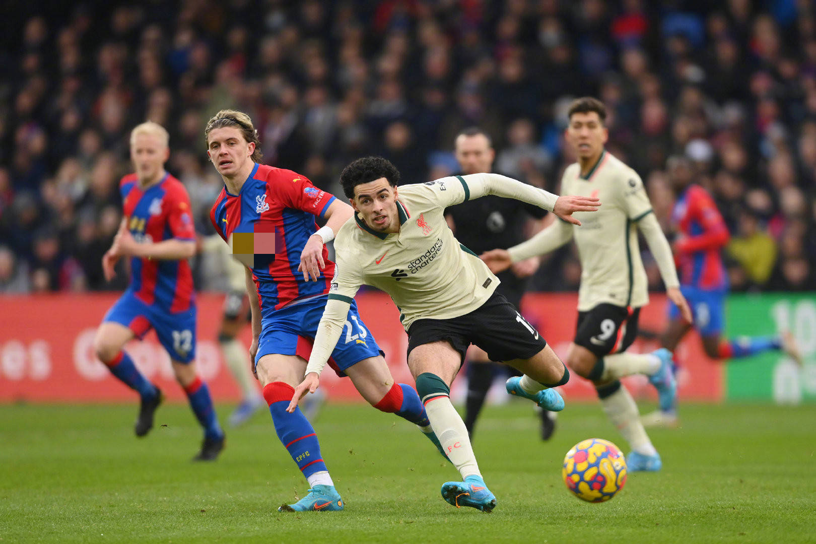 也为未来的 也为未来的